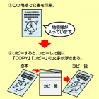 �}���`�^�C�v�R�s�[�U���h�~�p��